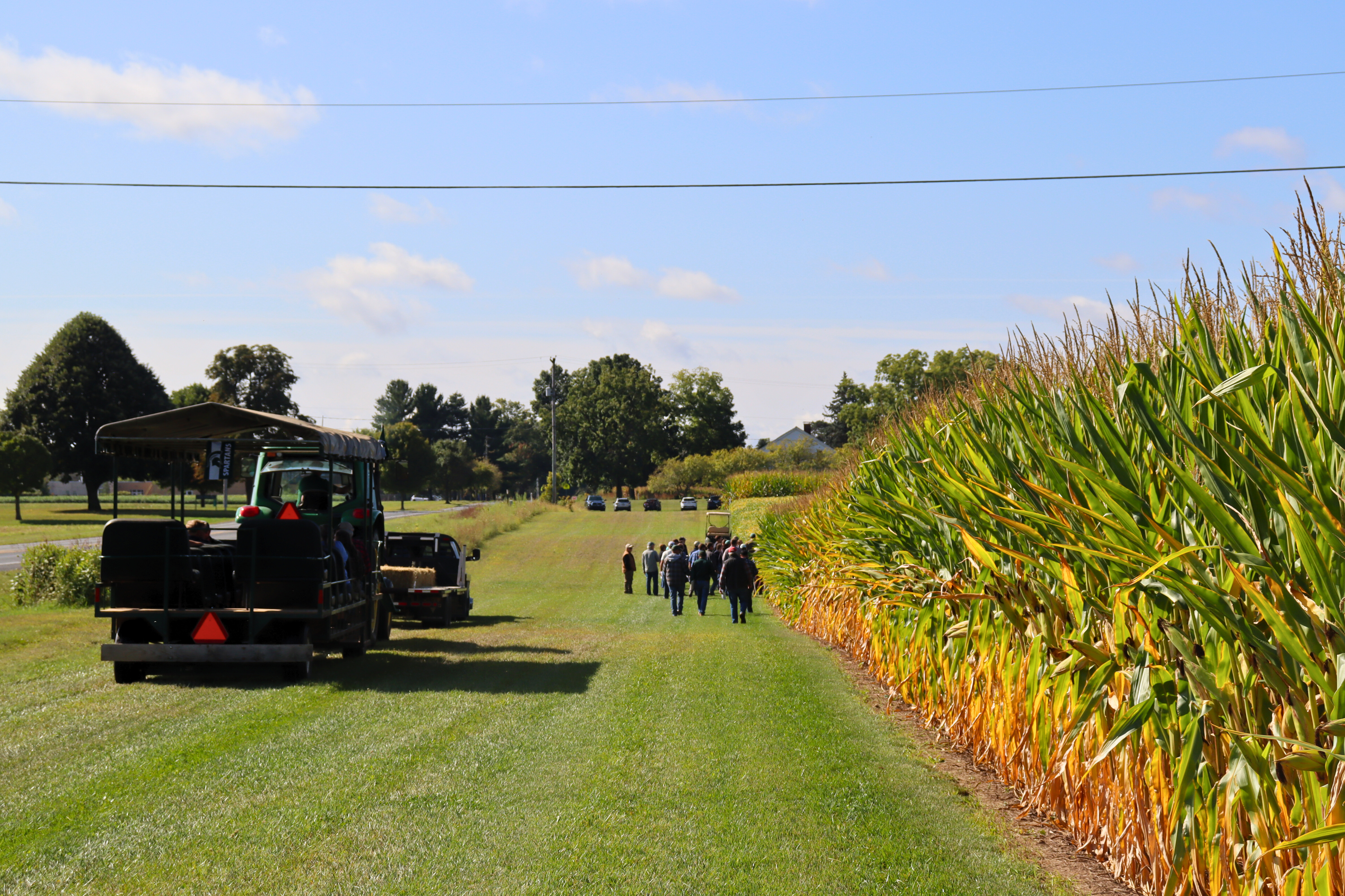 People and a tractor walk alongside corn at Kellogg Biological Station_s LTAR site near Hickory Corners. - Edited.jpg